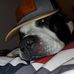 David Cranston - Facebook