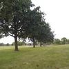 david_dean_gruwell - @david_dean_gruwel - TikTok