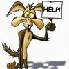 davidgurwell433 - @davidgurwell433 - TikTok