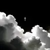 💫 - @david.gsell4 - TikTok