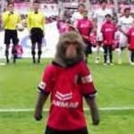 David - @davidgsell2024 - Instagram