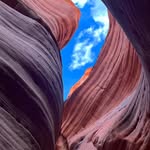 David Patty-G'sell - @dave_pattygsell - Instagram