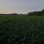 David Guenther - @david.guenther.397 - Instagram
