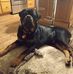David Guenther - Facebook
