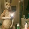 David Enrrique Guido - @david.enrrique.gui - TikTok