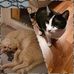 David Guldin - Facebook