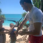 David Gullo - @david.gullo - Instagram
