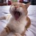 David Gulliver - Facebook