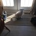 David Gulliver - Facebook