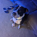 David Gunderman - @_david_gunderman - Instagram