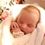 David Gunderson - @gundersondavid - Instagram