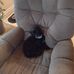 David Gundersen - Facebook