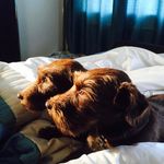 David Gundy - @gundymove - Instagram