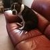 Dave Guns - Facebook