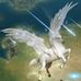 David Guns - Facebook