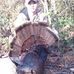 David Gupton - Facebook