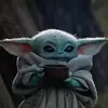 AlphaGamer789 - @david.guralivu200 - TikTok
