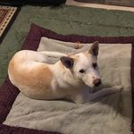 David Gurule - @david.gurule.5876 - Instagram