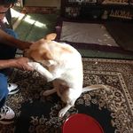 David Gurule - @7gurule.david7 - Instagram