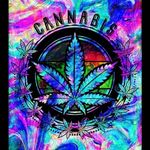 David Gurule - @david.gurule.184 - Instagram