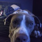 David Gurule - @gurule2000 - Instagram
