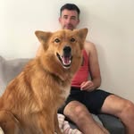 David Gustave - @davi.dgustave - Instagram
