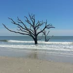 David Gustavson - @davidgustavson2023 - Instagram