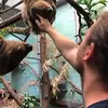 David Gustavson - @davidgustavson1 - TikTok