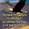 davidagustin191 - @davidagustin191 - TikTok