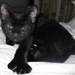 David Gutnik - @dgofficepro - Instagram
