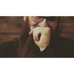 David Russell Gutsche - @tokyo_dave - Instagram