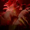 marinag80 - @davidgutsche1 - TikTok