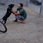 David Gutz - Facebook