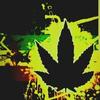davidguyette488 - @davidguyette488 - TikTok