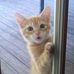 David Guyton - Facebook