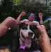 David Guyton - Facebook