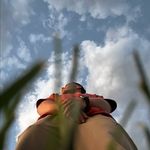 Sunshine - @david_gwilliam_ - Instagram