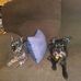 David Hackler - Facebook
