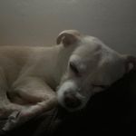 David Hackney - @david.hackney.3517563 - Instagram