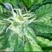 David Hackshaw - Facebook