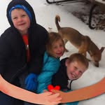 David Hackworth - @david_hackworth - Instagram