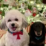 Mary Beth David Hackworth - @marybeth1125 - Instagram
