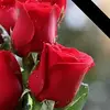 davidhaddowhaddow - @davidhaddowhaddow - TikTok
