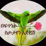 DAVID HAILE - @davidhaile5239 - Instagram