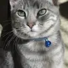 David Haileselassie - @david.haileselass - TikTok