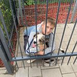 Halmosi Dávid - @david_halmosi - Instagram