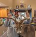 David Halpin - Facebook