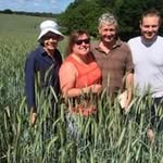 David Halsall - @david.halsall1 - Instagram