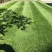 David Halsall - Gardening Services  - Facebook