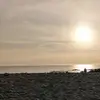 davidhalsall - @davidhalsall - TikTok